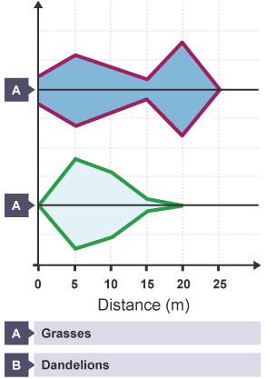 A kite diagram showing percentage cover for dandelions and grasses.