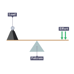 Seesaw showing the fulcrum, a load and effort