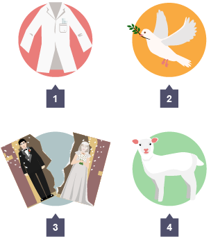 Four icons showing: 1) White lab coat, 2) Dove, 3) Torn wedding photo, 4) Lamb