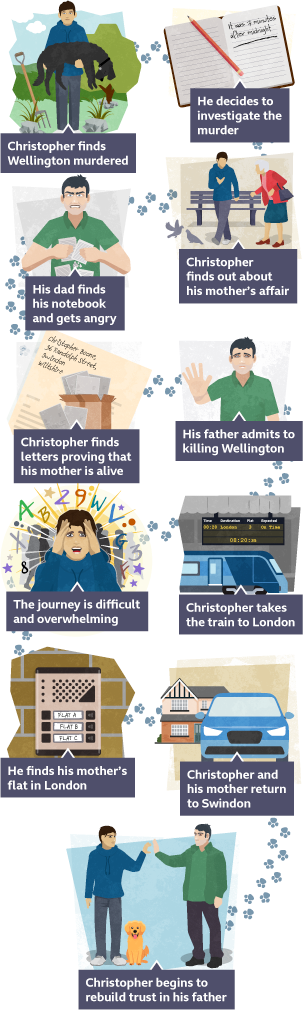  A timeline showing 11 key moments from The Curious Incident of the Dog in the Night-Time by Mark Haddon. The first image shows Christopher holding a large black poodle in his arms. There is a garden fork sticking out of the grass next to him. The second image shows an open notebook with a pencil lying on it. In black handwriting, it says, “It was 7 minutes after midnight”. The third image shows Christopher talking to an elderly lady in the park. There is a bench behind them and some birds on the floor. The fourth image shows Christopher’s father. He looks angry and is tearing up some sheets of paper. The fifth image shows a cardboard box with lots of letters inside. One letter is open and is addressed to “Christopher Boone, 36 Randolph Street, Swindon, Wiltshire. The sixth image shows Christopher’s father looking sad and holding out one hand. The seventh image shows a train. The departures board behind the train says it is leaving for London. The eighth image shows Christopher with his hands to his head, looking distressed. There are letters and numbers in bright letters around him. The ninth image shows the doorbell to a flat. The tenth image shows a blue car parked in front of a house. The eleventh image shows Christopher and his father touching hands. There is a small, golden puppy next to Christopher’s feet.