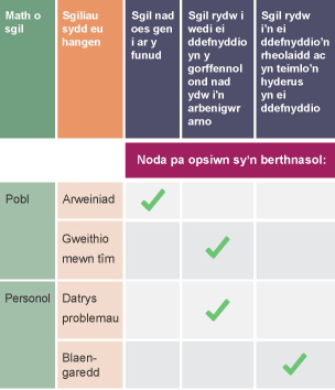 Tabl i nodi math o sgiliau a sgiliau sydd eu hangen. Mae ticiau yn nodi os nad yw'r sgil gen i ar y funud, sgil rydw i wedi ei ddefnyddio ond nid yn arbenigwr arno, a sgil rydw i'n ei ddefnyddio'n aml
