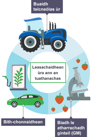 Leasachaidhean ˘ra ann an tuathanachas
