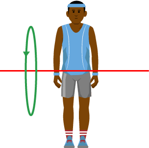 The line runs from left to right through the centre of the body.