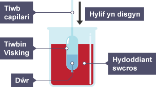 Tiwb capilari yn arwain at diwbin visking, yn llawn hydoddiant swcros mewn bicer llawn dŵr. Saeth tuag i lawr yn dangos hylif yn gostwng. Mae'r dŵr yn goch a'r hydoddiant yn las.