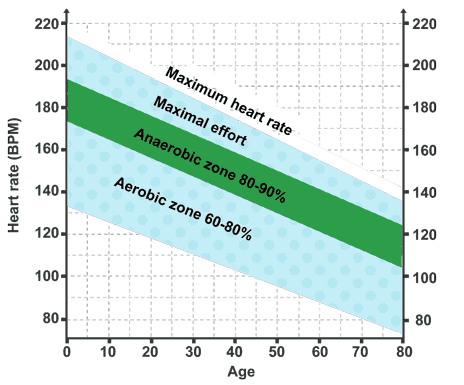 Increase best sale aerobic threshold