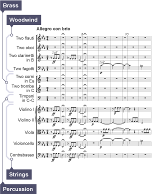 An example of a score for the opening of Beethoven's Symphony No. 5.