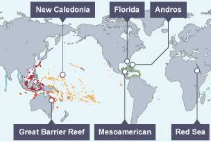 Coral reefs - Ecosystems - OCR - GCSE Geography Revision - OCR