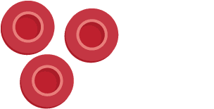 Three circular red blood cells