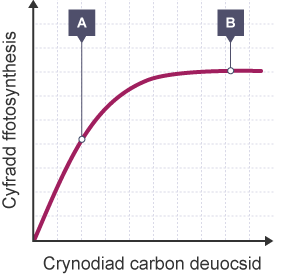 Graff yn dangos sut mae crynodiad carbon deuocsid yn effeithio ar gyfradd ffotosynthesis. Echelin y wedi'i labelu'n 'Cyfradd ffotosynthesis', echelin x wedi'i labelu'n 'Crynodiad carbon deuocsid'.