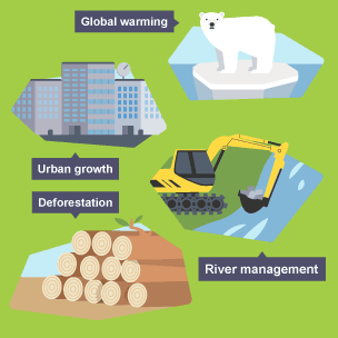 Representation of human causes of flooding.