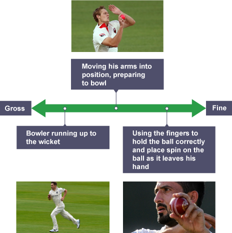 Environmental continuum in sport Classification of skill AQA