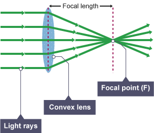 A diagram of light shining through a bulging convex lens, bending as it leaves the lens towards a focal point.