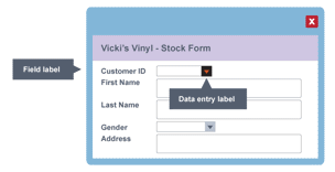 Examples of field and data entry labels.