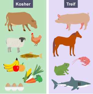 Diagram of a selection of different Kosher and Treif foods.