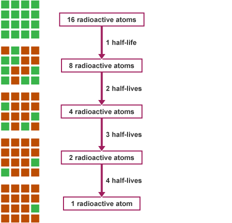 Half-lives of isotopes used in GCSE questions - Half-life – WJEC - GCSE  Physics (Single Science) Revision - WJEC - BBC Bitesize