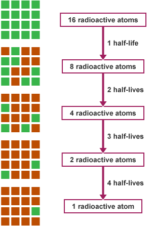 Half Lives