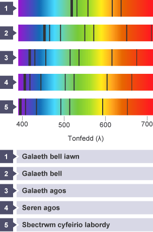 Pum sbectra amsugno wedi’u labelu â: Galaeth bell iawn, Galaeth bell, Galaeth agos, Seren agos a Sbectrwm cyfeirio labordy.