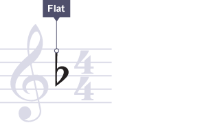 A flat key signature as shown on sheet music