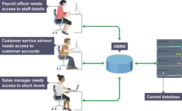 Image result for database management system