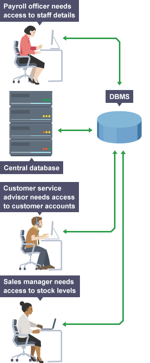 what is database management system in computer science