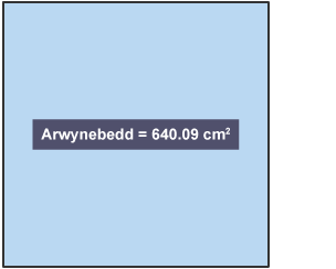 Sgwâr wedi ei labelu Arwynebedd = 640.09 centimetr sgwâr