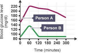Graph showing blood glucose levels throughout the day