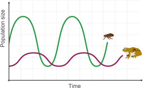 a graph showing that overtime the prey population and the predator population increases and decreases in waves.