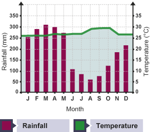 tropical rainforest graph of temperature and precipitation