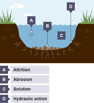 Attrition, abrasion, solution and hydraulic action are the types of erosion found in rivers.