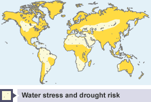 Areas of South America, southern and northern Africa, central Asia and North America are at risk of water stress and drought.