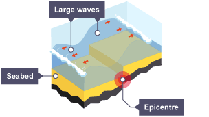 Large waves move along the sea bed, away from the epicentre.