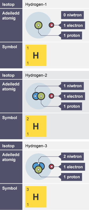 Hydrogen-1: Niwclews 0 niwtron 1 proton. 1 electron mewn orbit. Hydrogen-2: Niwclews: 1 niwtron, 1 proton. 1 electron mewn orbit. Hydrogen-3: Niwclews: 1 proton, 2 niwtron. 1 electron mewn orbit.