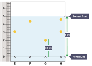 A chromatogram for showing inks E, F, G and H.