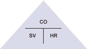 Formula triangle of cardiac output, stroke volume and heart rate