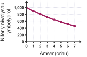 Graff yn plotio Nifer y niwclysau ymbelydrol yn erbyn Amser (oriau). Mae nifer y niwclysau ymbelydrol yn mynd o 0 i 1,000. Mae’r amser yn mynd o 0 i 7 awr.