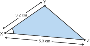 Triangle (XYZ) with sides 3.2cm and 5.3cm