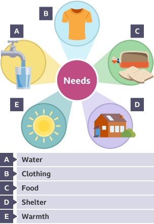 What people need in order to survive, clothing, food, shelter, warmth and water.