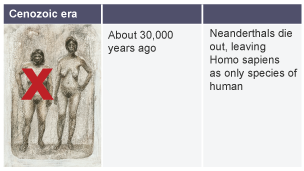 About 30,000 years ago: Neanderthals die out leaving homo sapiens as the only species of human.