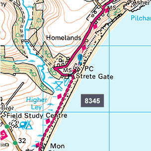 An ordnance survey map of Strete Gate.