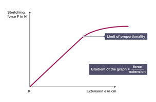 The graph shows that as the stretching force increases the extension of the spring also increases.