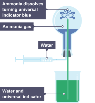 An upturned round-bottomed flask contains ammonia gas. Two tubes enter the flask through a rubber bung. The first tube connects to a syringe full of water. The end of the second tube is submerged in a beaker of water and universal indicator.