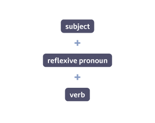 subject + reflexive pronoun + verb