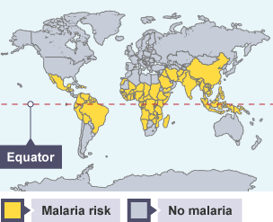 Malaria risk areas.