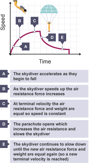 Rises as skydiver accelerates, levels off as air resistance increases, terminal speed reached, resistance, weight balanced. Canopy opens, drop in speed, air resistance increases, graph returns to 0.