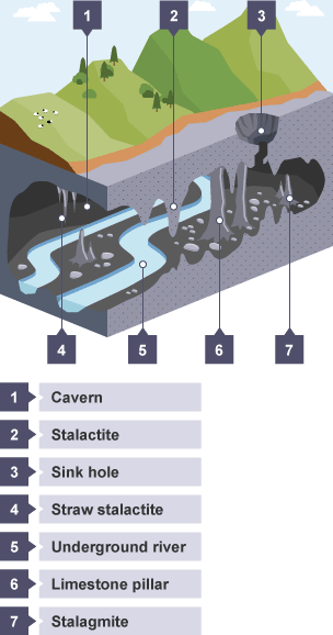 3D illustration of underground limestone features with a word bank below to match with the numbered features