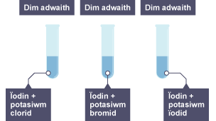 Mae'r tiwb cyntaf yn cynnwys ïodin a photasiwm clorid, yr ail yn cynnwys ïodin a photasiwm bromid, a'r trydydd yn cynnwys ïodin a photasiwm ïodid. Mae pob un o'r tri wedi'i labelu â 'dim adwaith'.