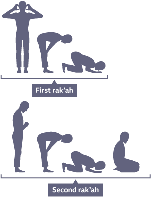 Infographic depicting the different stages of prayer in the rak'ah.