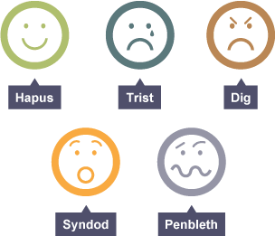 5 eicon i arddangos gwahanol emosiynau: Hapus, Trist, Dig, Syndod, Penbleth