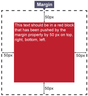 An example of a 50px margin around all four sides of a red square. The margin is separate from the square.