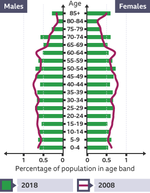 Population pyramid that shows percentage of population in age band